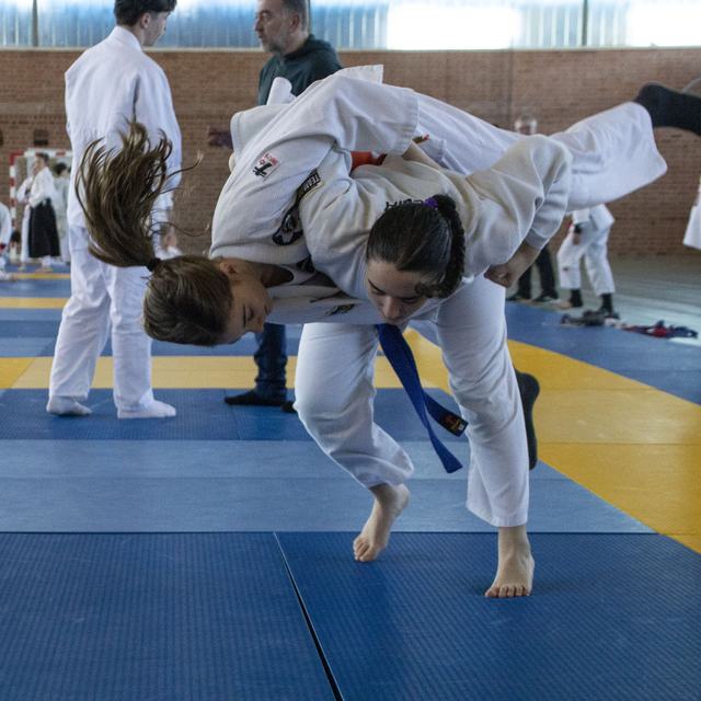 judo