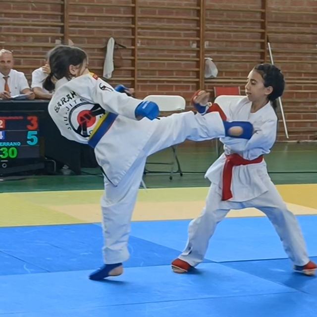 Jiu-Jitsu